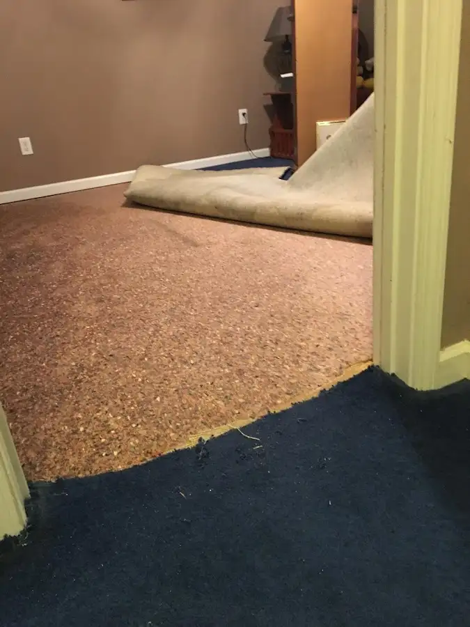Carpet pad removal revealing water damage during Water Mitigation Services in Logan