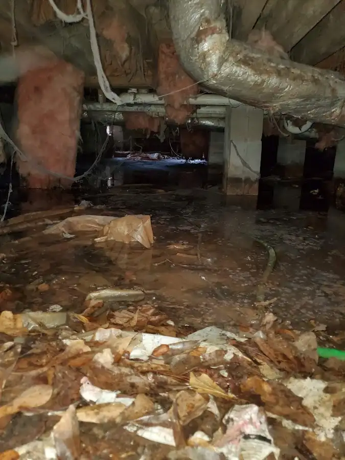 Crawl space flood assessment for Leak Detection & Repair in Logan